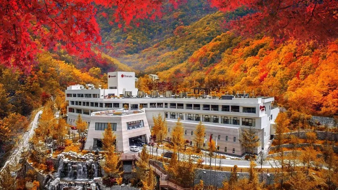 ea820503-f5d9-4702-8deb-698b111dec6e