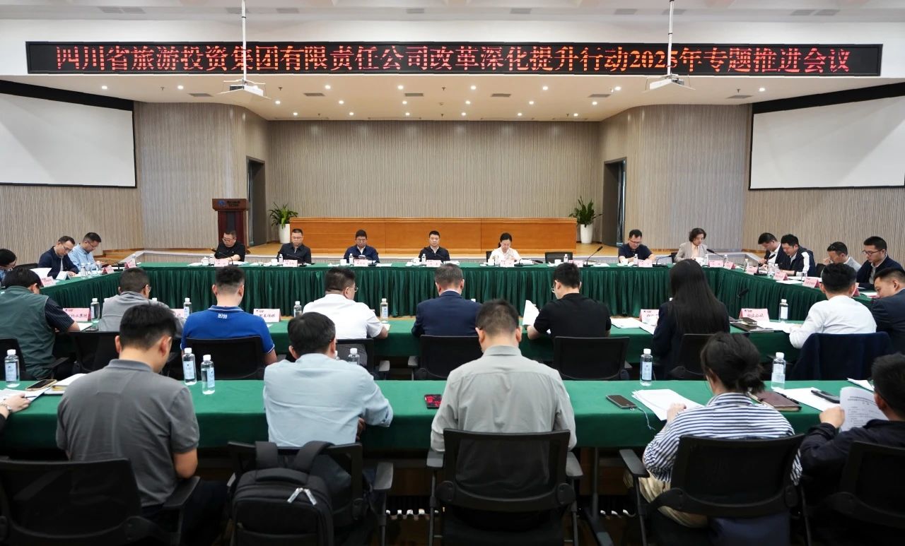 省尊龙集团官网集团召开鼎新深入提升行动2025年专题推动会